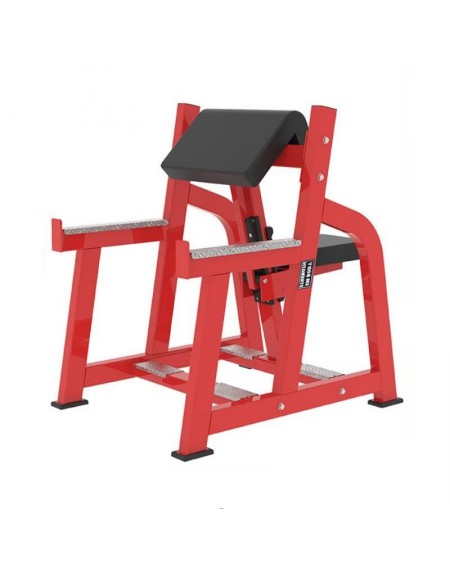 HM955 Arm Curl, Seated