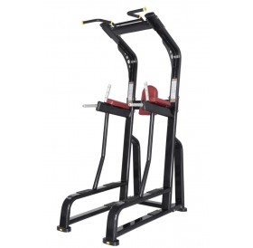 MZ027 Vertical Knee Raise Machine