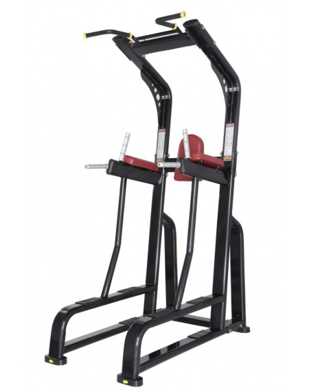 MZ027 Vertical Knee Raise Machine