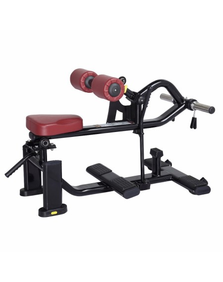 MZ029 Seated Calf Machine