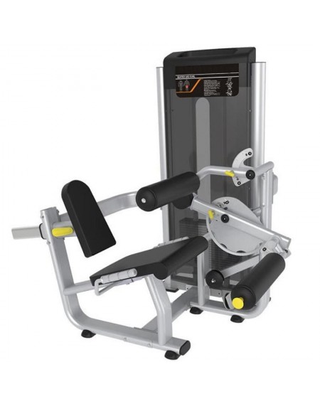 ZY013 Seated Curl Trainer