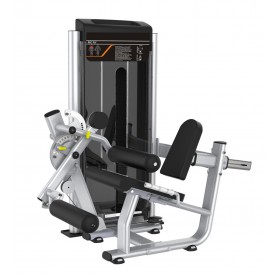 ZY1314 Dual Function Seated Leg Extension Trainer